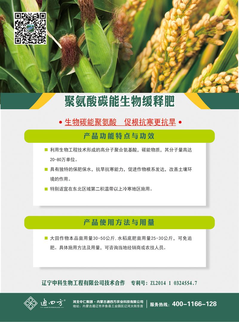 �۰���̼�����ﾏጷ�